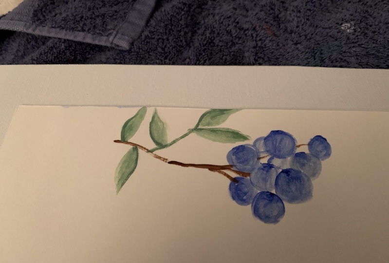 Blueberries with gradient