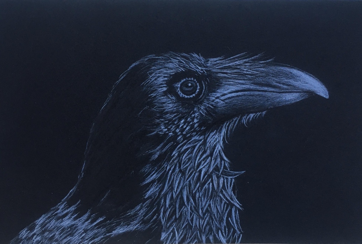 Crow - student project
