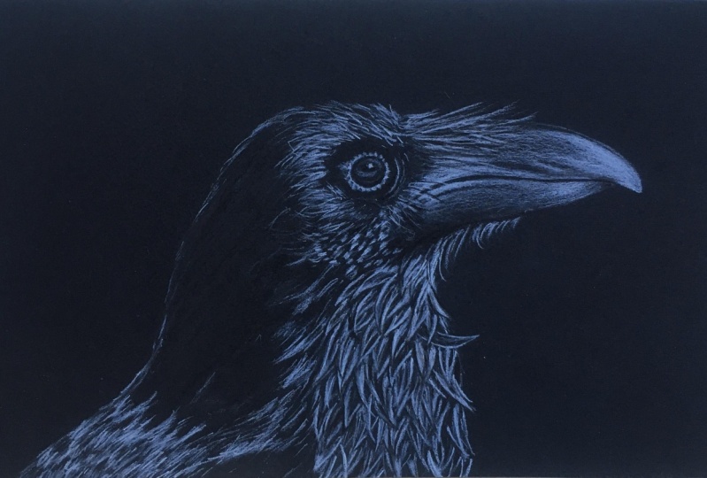 Crow