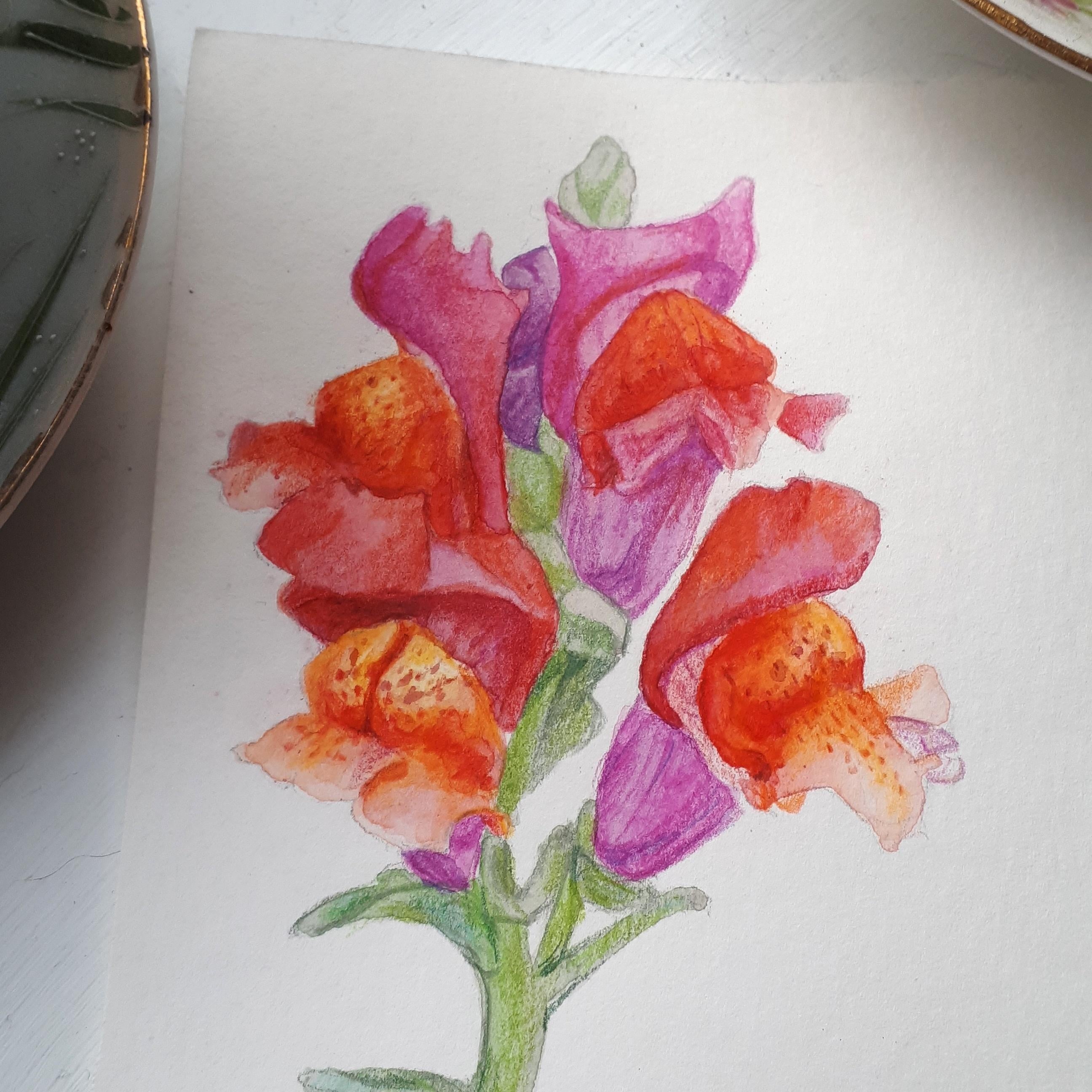 Snapdragons - student project