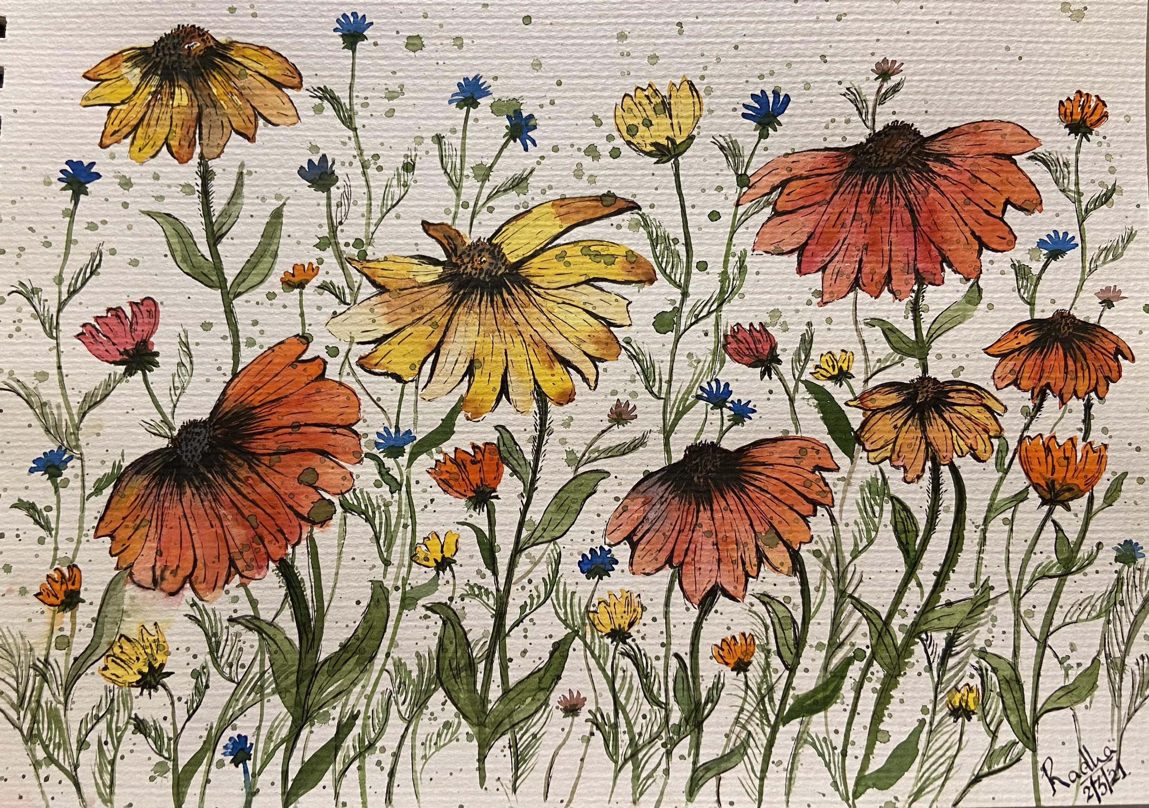 Summer is here - student project