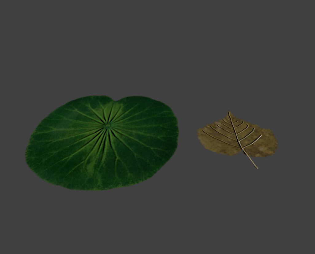 Textured leaves - student project