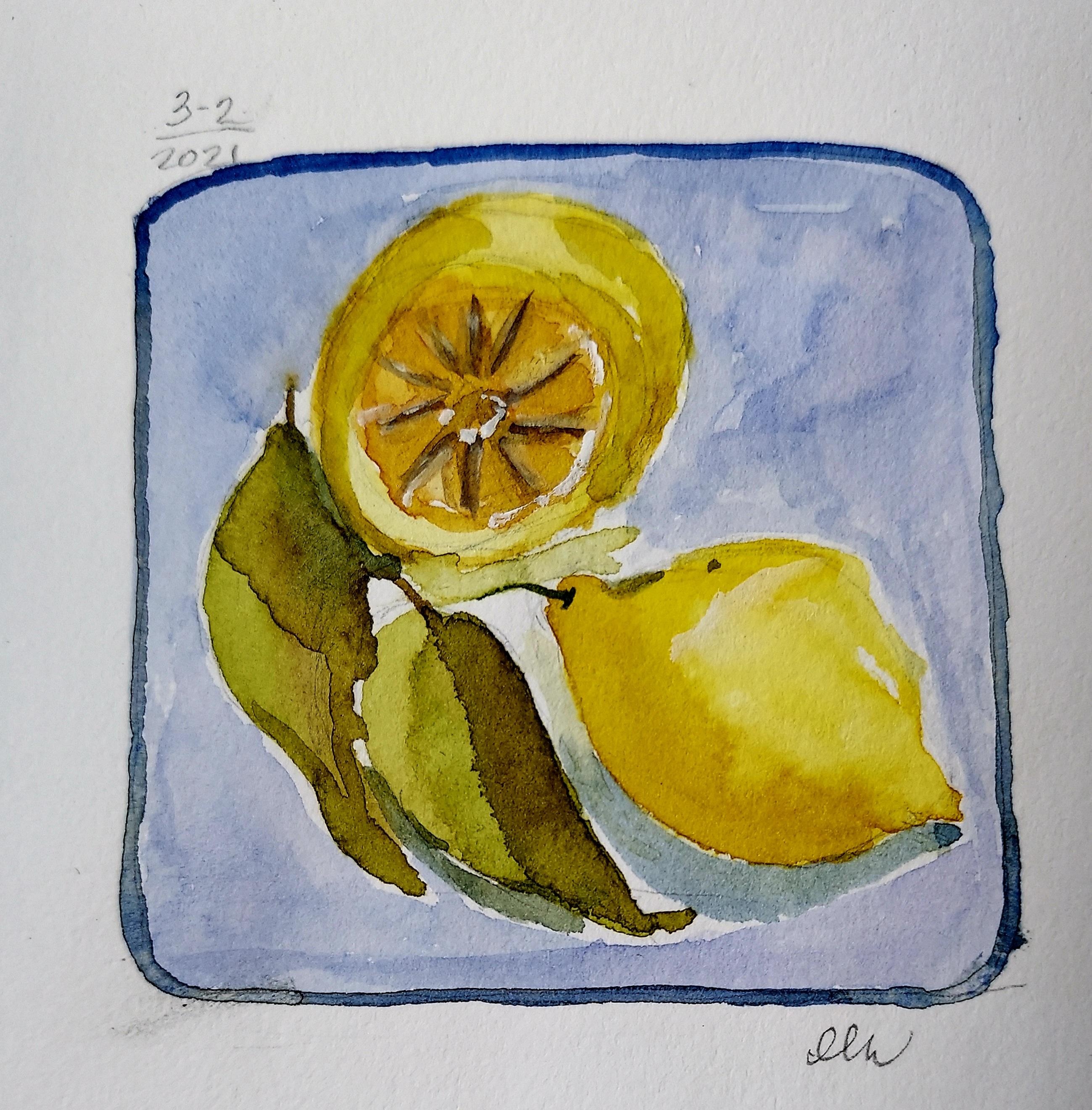 Two Lemons - student project