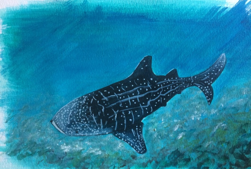 Sea Life in Acrylics