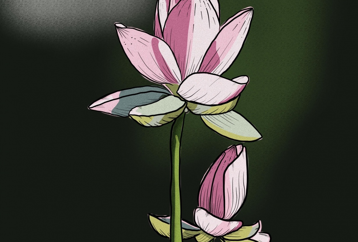 Lotus flower - student project