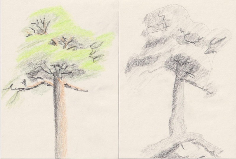 My first attempt at drawing