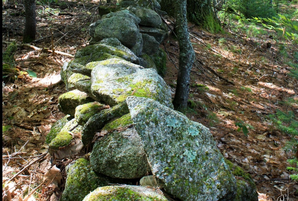 Stone Wall - student project