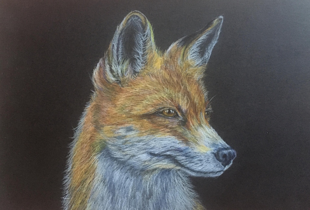 Fox - student project