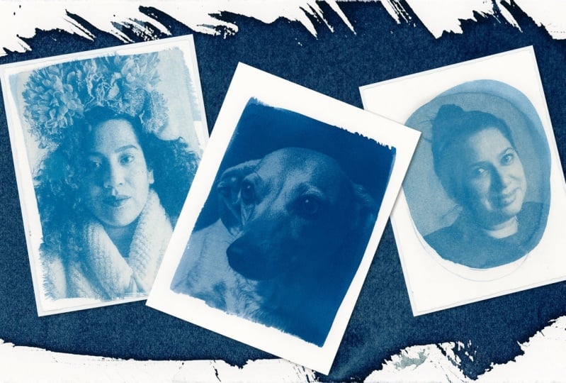 My Cyanotype Prints