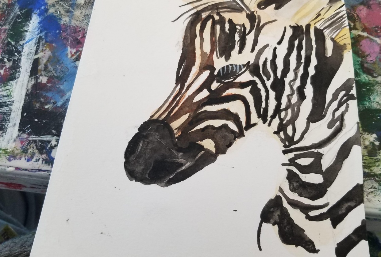 Watercolor For Beginners: Painting Zebra | Dina | Skillshare