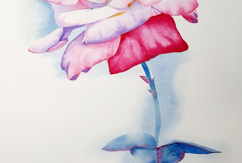 Thanks for this beautiful class as always Louise. Loved it :)