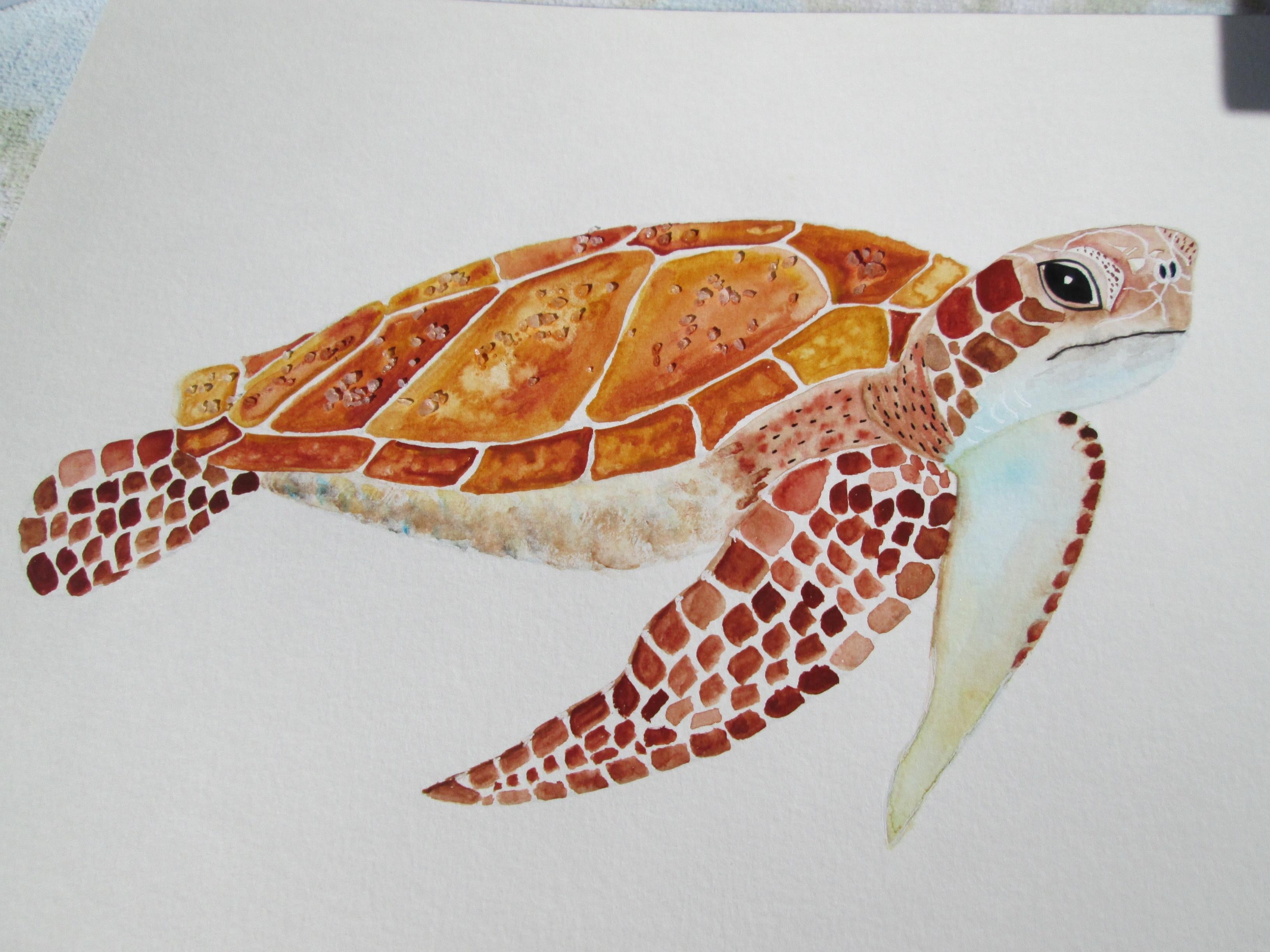 Watercolor Sea Turtle - student project