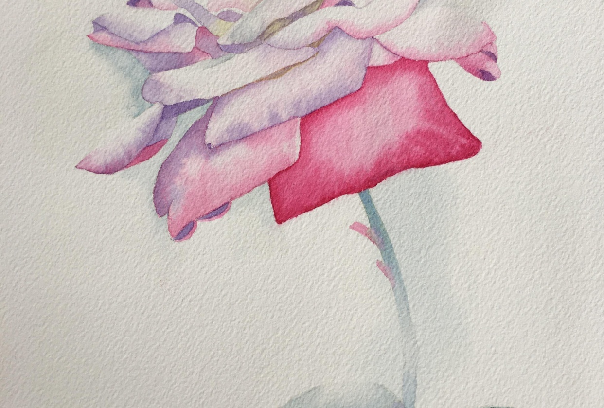 Lost Edges Rose - student project