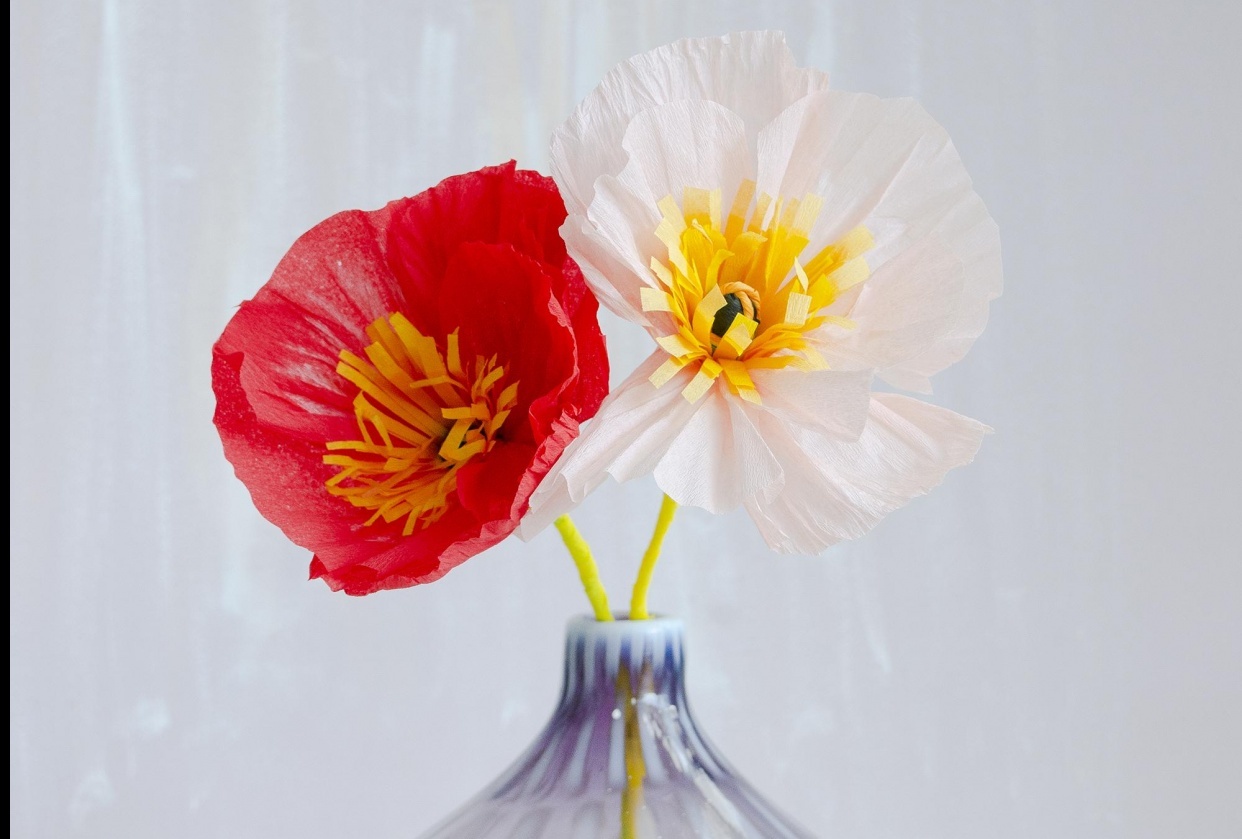 Poppy's from the tropics - student project