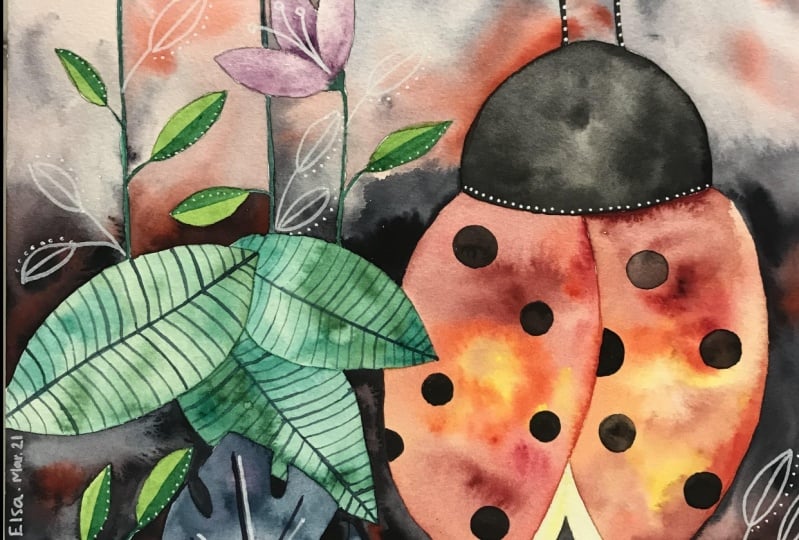 Ladybug Final Project