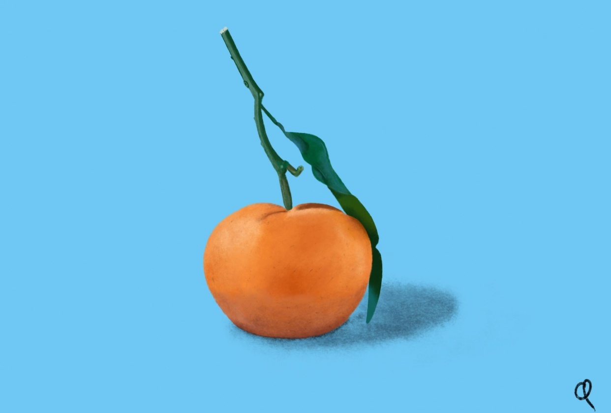 l'orange - student project