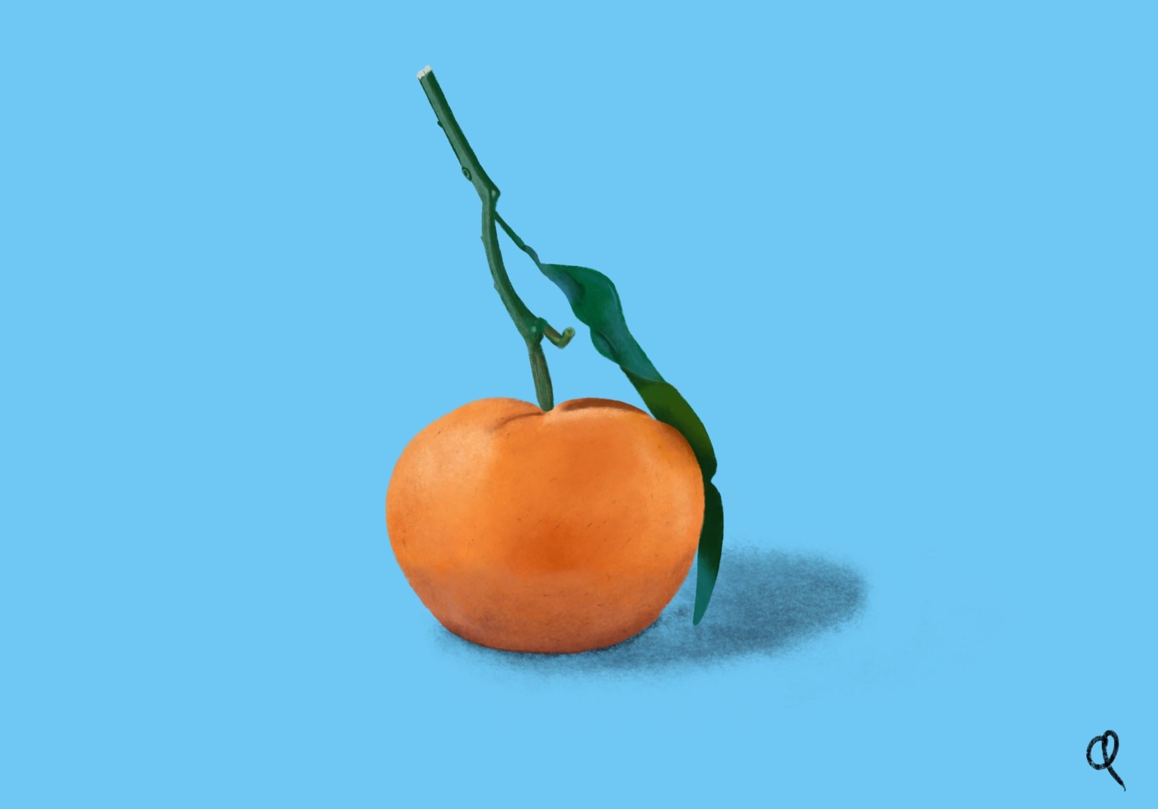 l'orange - student project