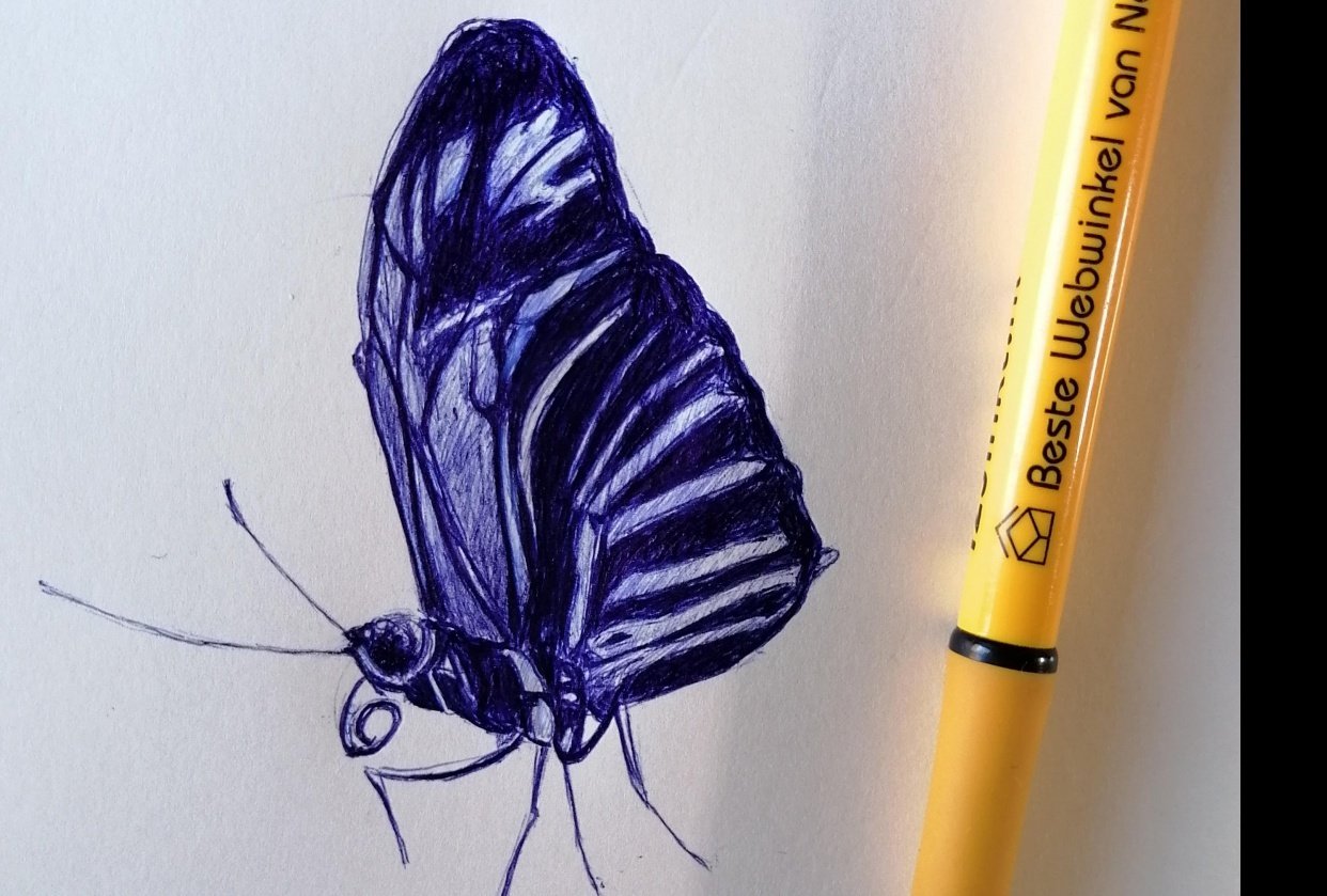 Ballpoint Drawing butterfly - student project