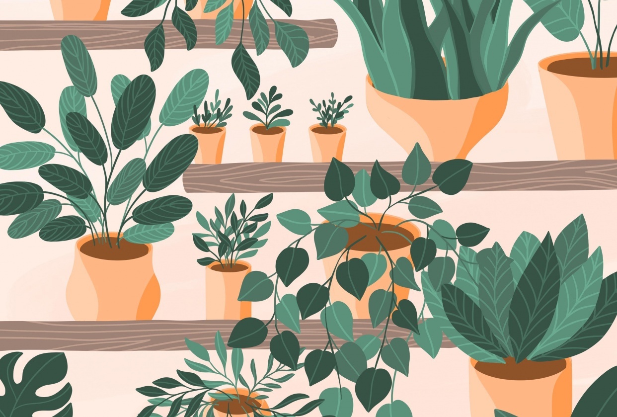Plant Illustrations in Procreate - student project