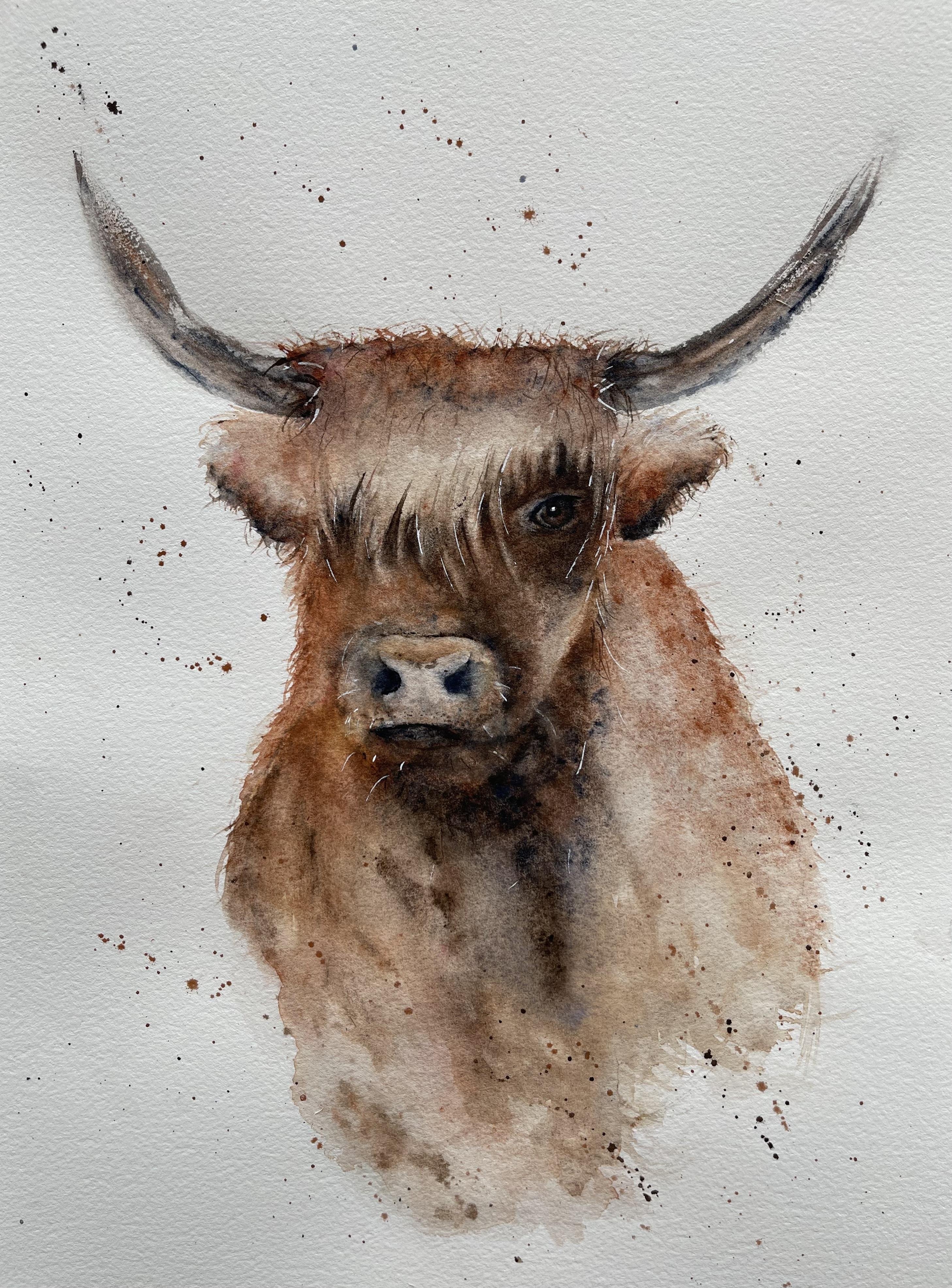 Highland Cow - student project