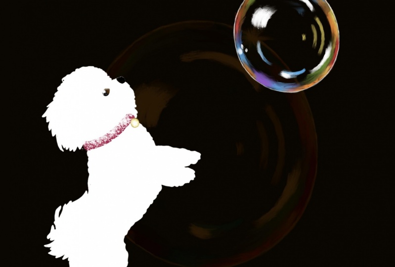 I’m forever chasing bubbles