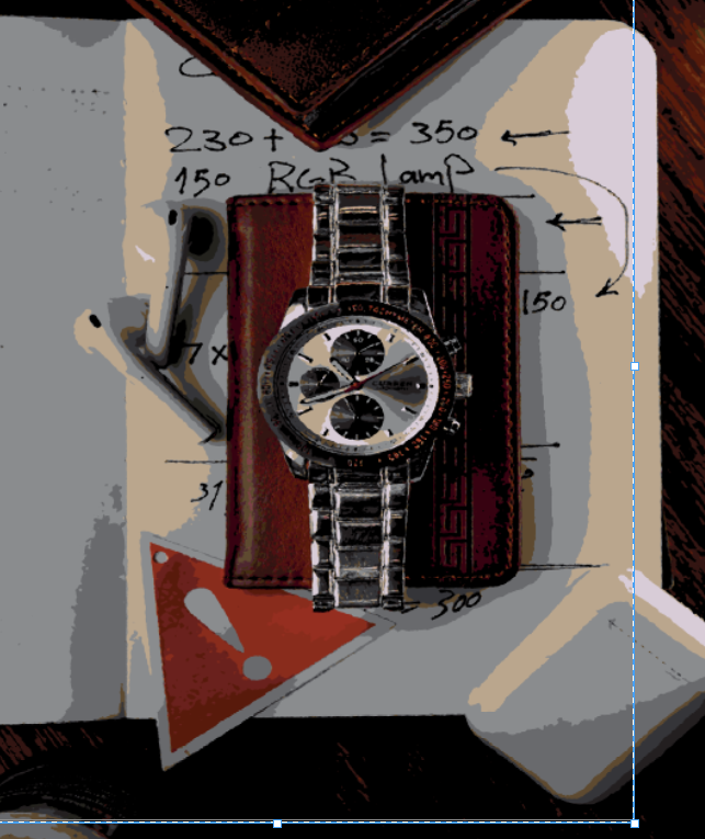 Adobe illus - student project