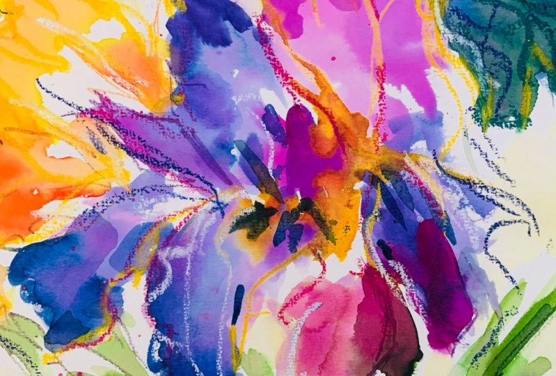 Iris freeflow
