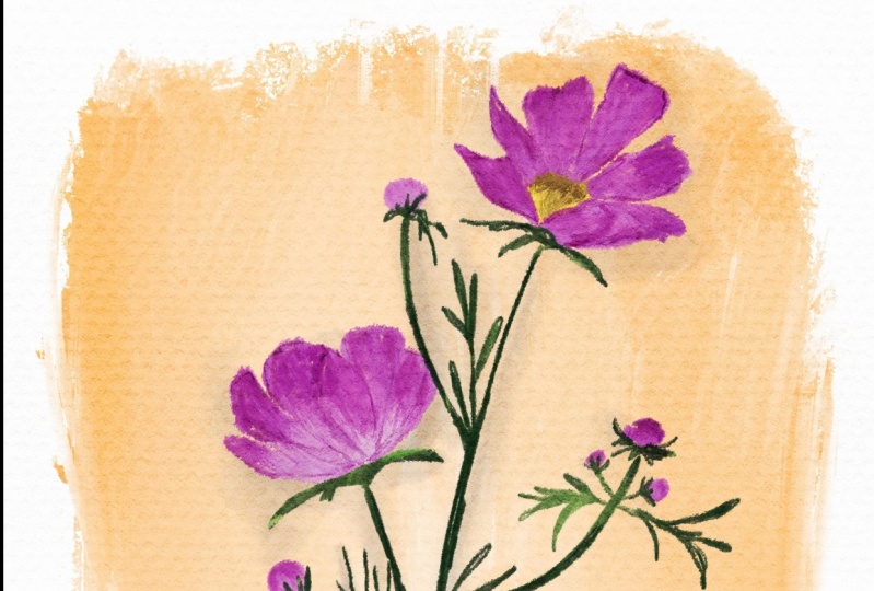 Cosmos