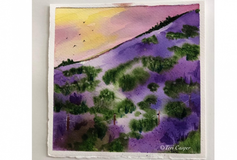 Fifth Project-Lavender Fields