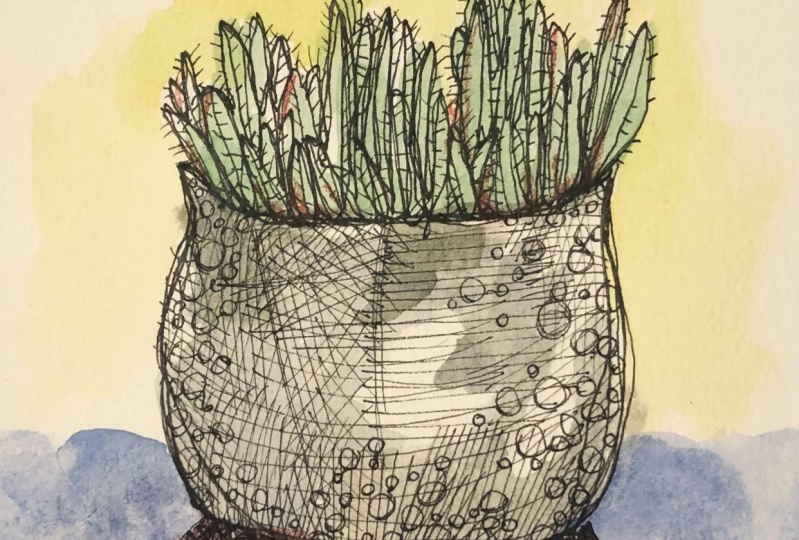 Spiky Plant