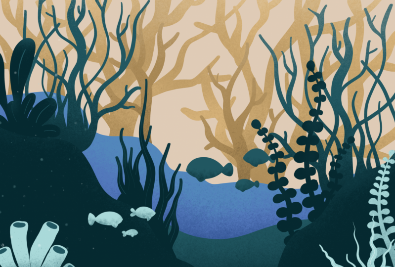 Perspective under water