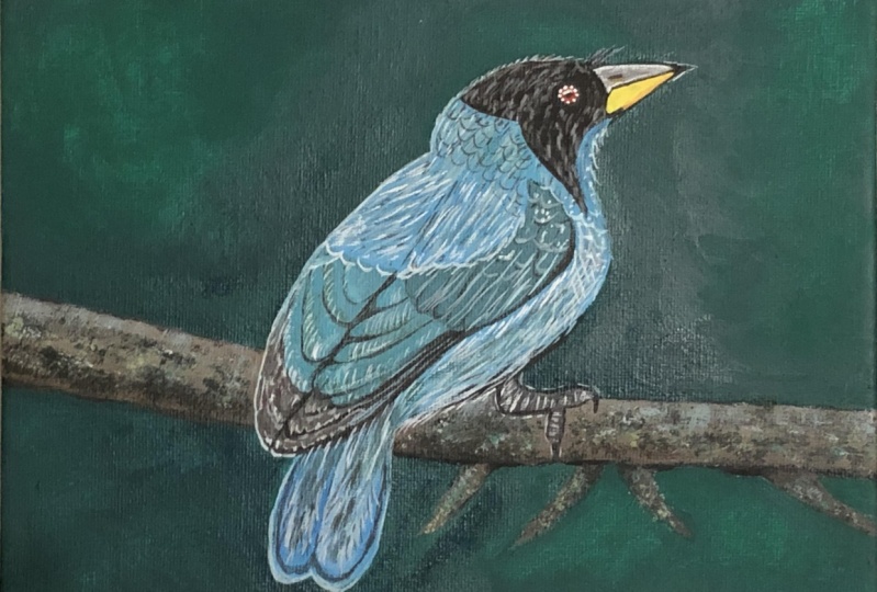 Blue Bird in Acrylics