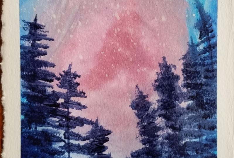 Blue firs at night