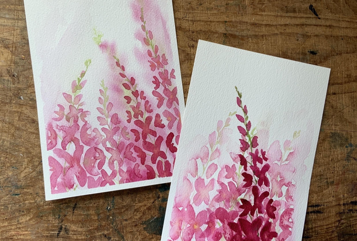 Loose Snapdragons - student project