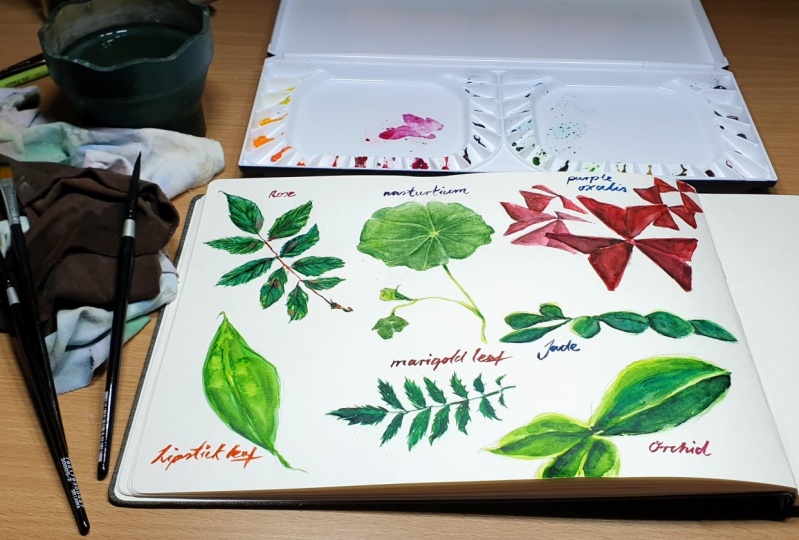 Painting a variety of watercolour leaves