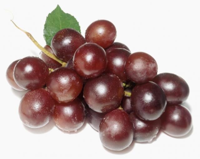 Grape Seed - student project