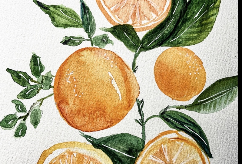 Watercolored Oranges - Laurel Beard