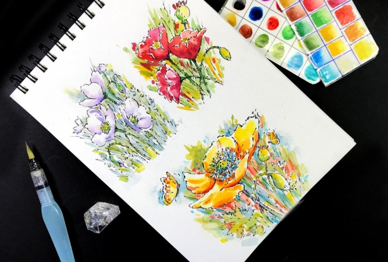 Sketching Poppies in My Watercolor Journal