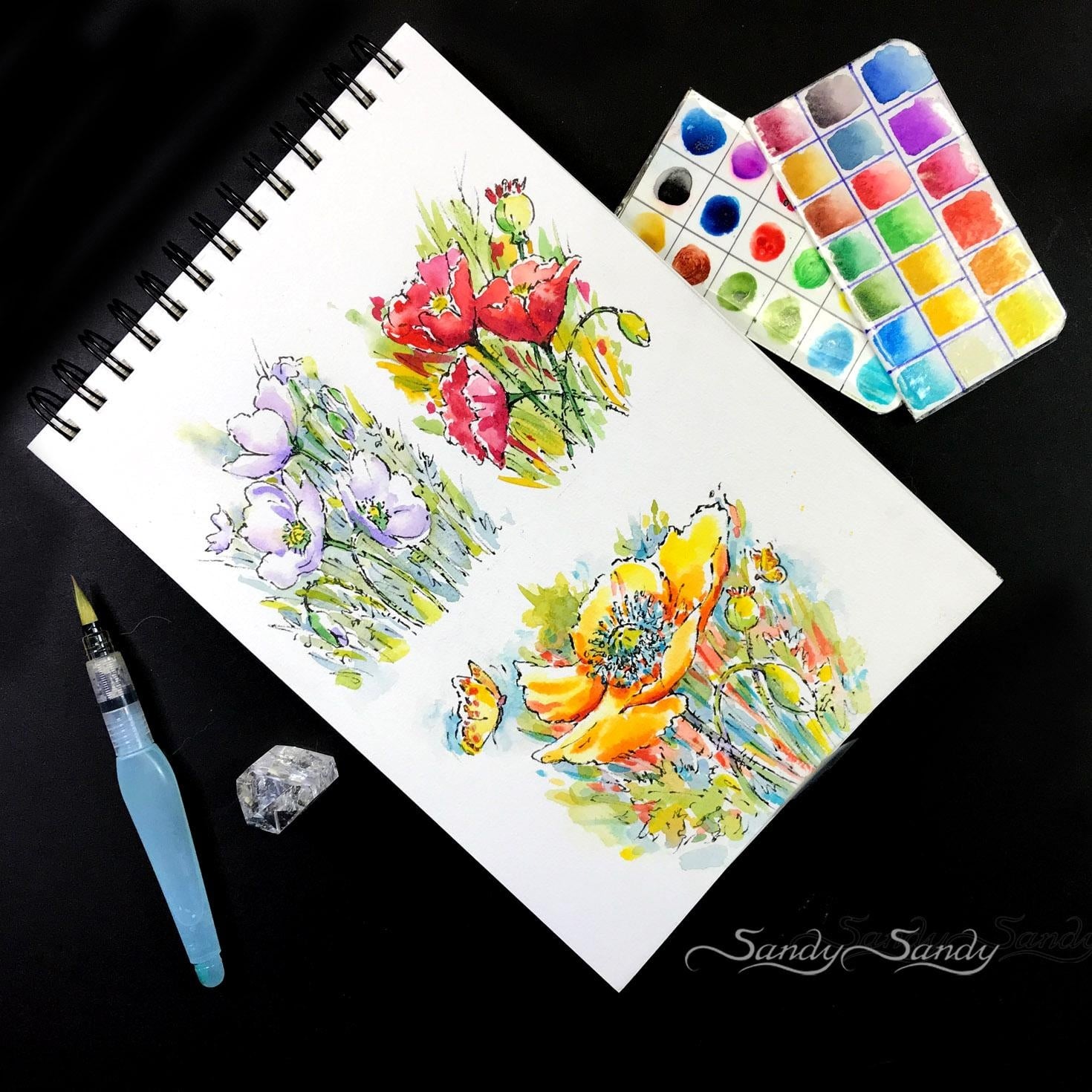 Sketching Poppies in My Watercolor Journal - student project