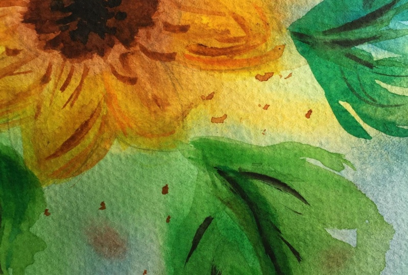 Loose sunflower