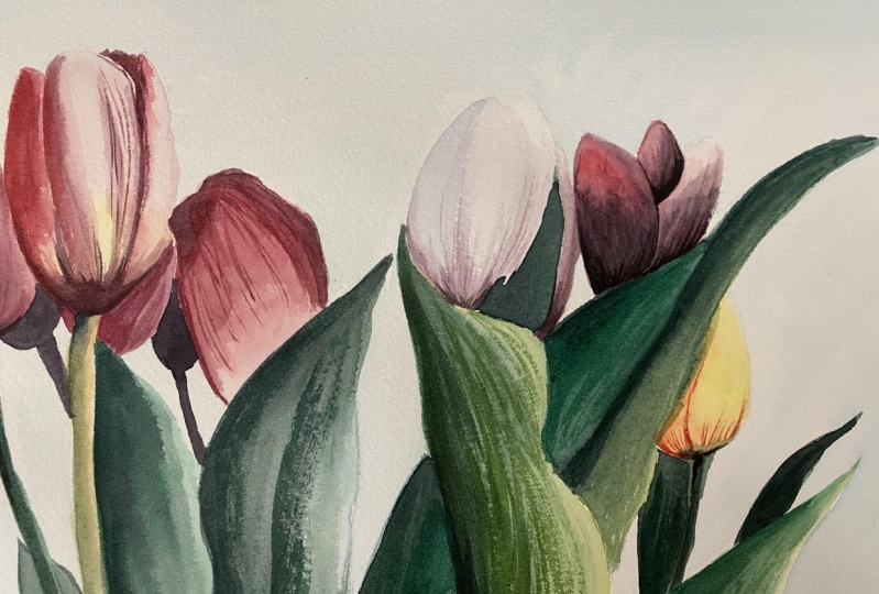 Watercolor Tulip Bouquet