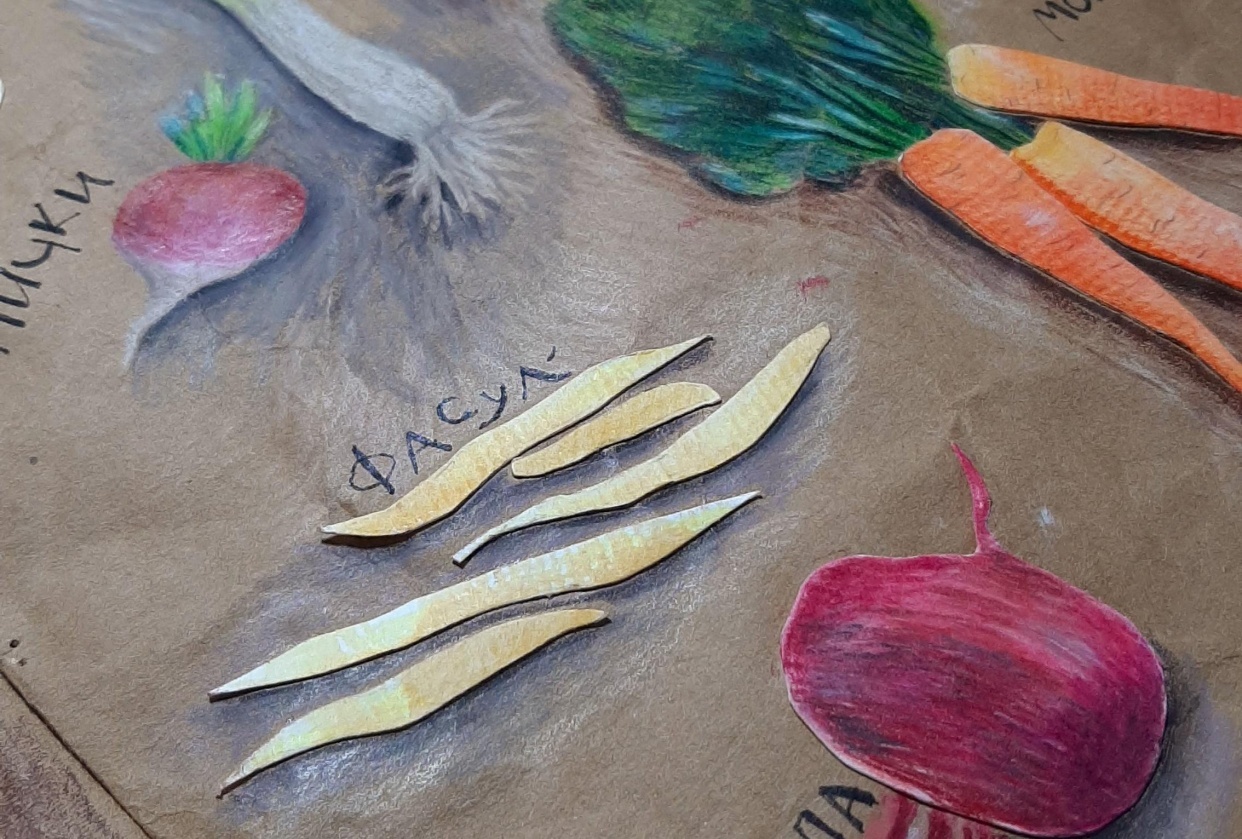 Life in colours - student project
