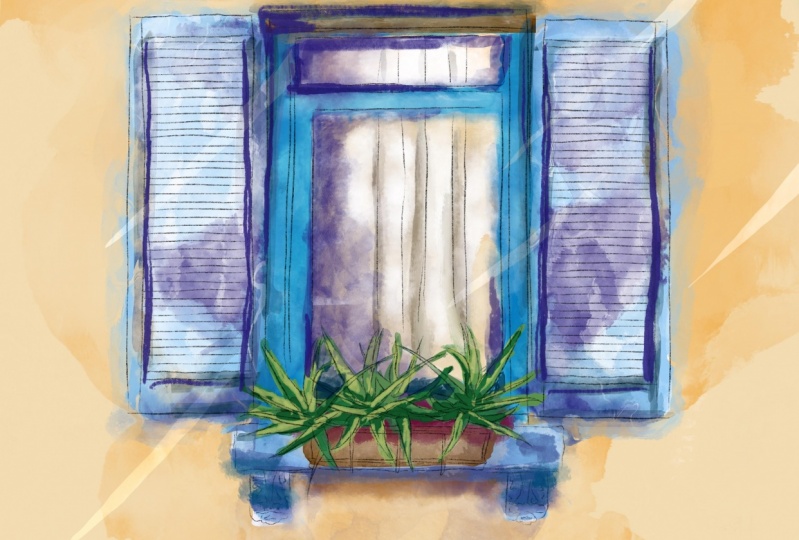 Window