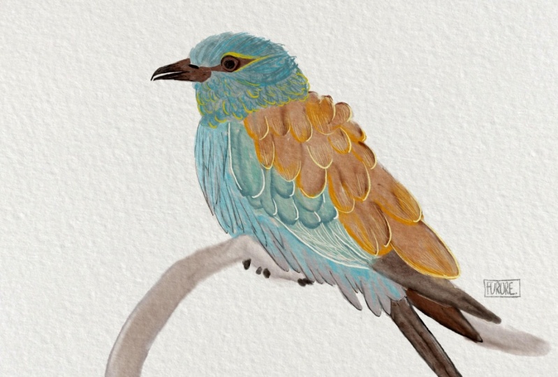 Bird in watercolor