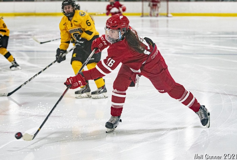 Example Project: Hockey