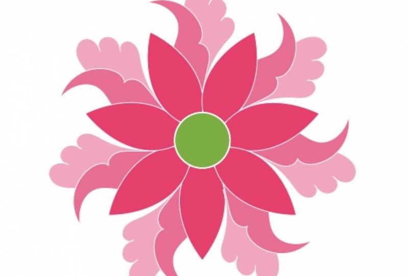 Rosettes &  A Paisley