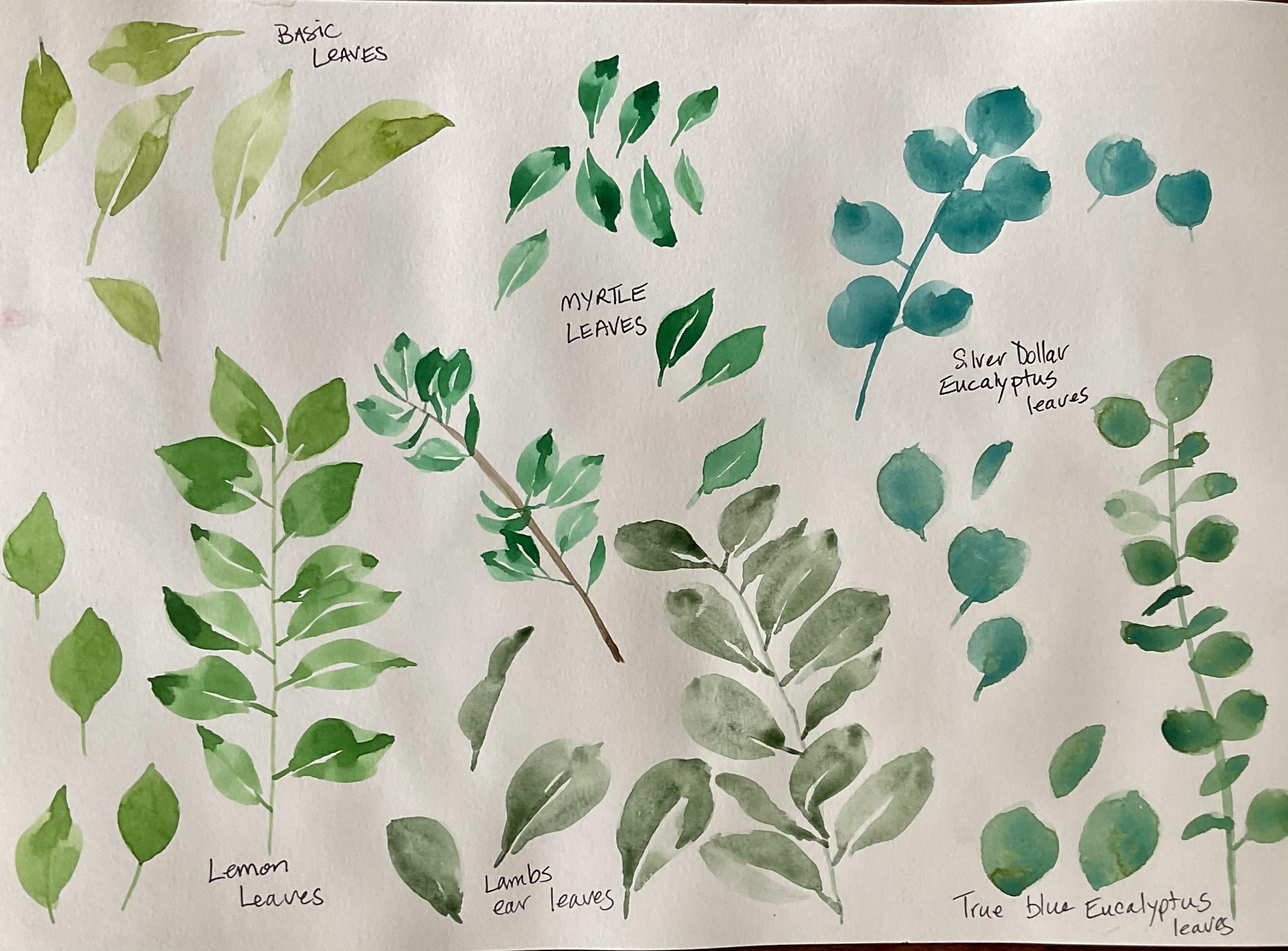 more-projects-from-class-img