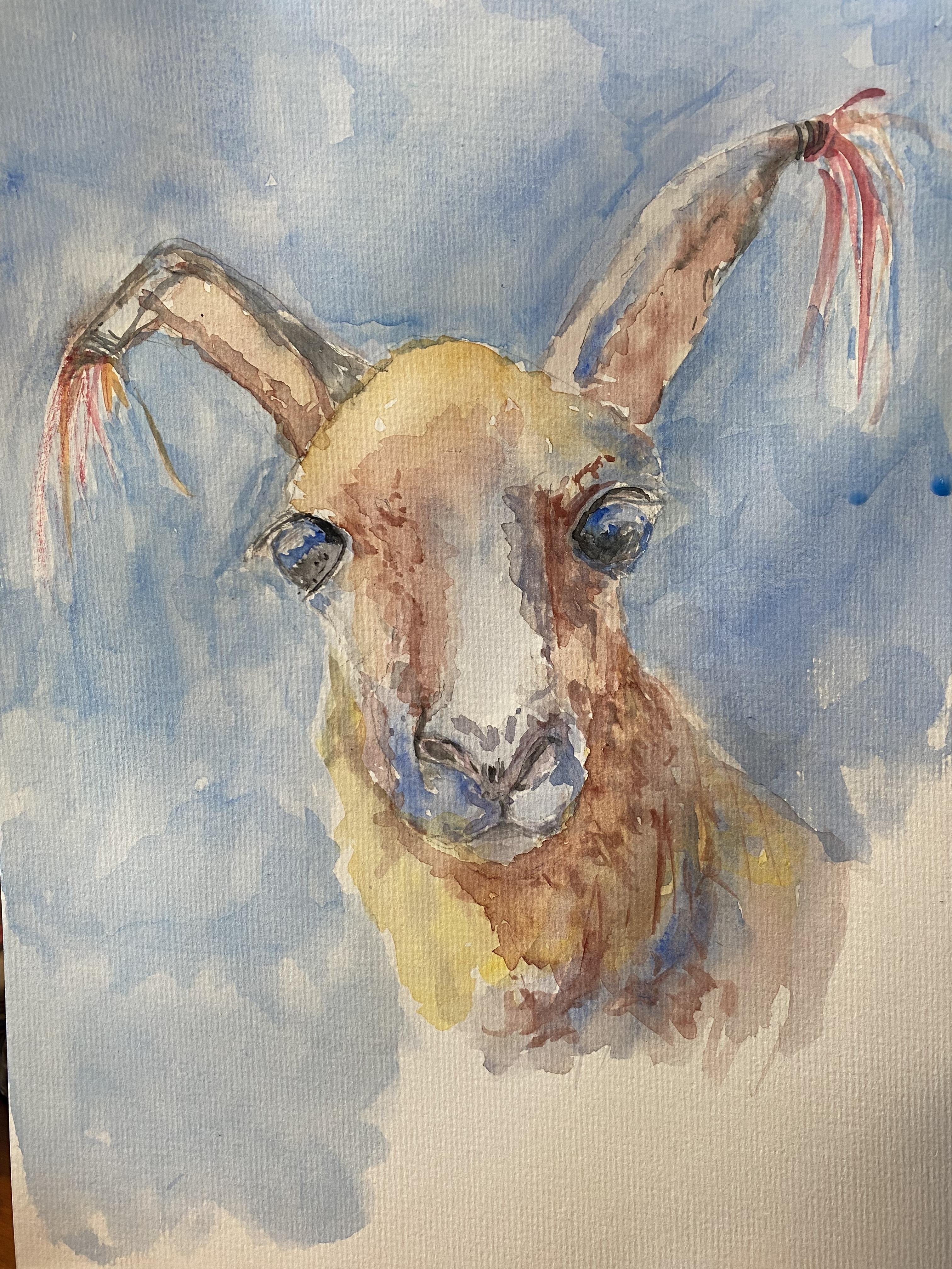 Cute Alpaca - student project