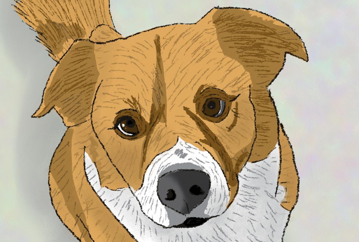Dodger + The girl - student project