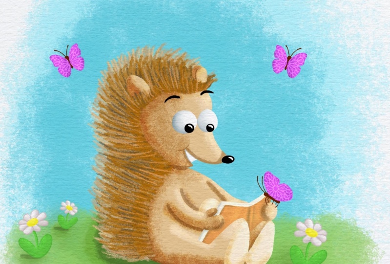 Cute little hedgehog